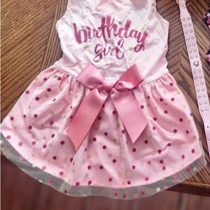 Pink Birthday Dog Dress with Bow